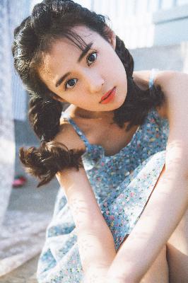 青楼十二房在线观看免费版电视剧全集