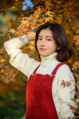 你是我的荣耀电视剧免费观看完整版